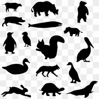 Animal Silhouettes - Animals Black And White Png Clipart