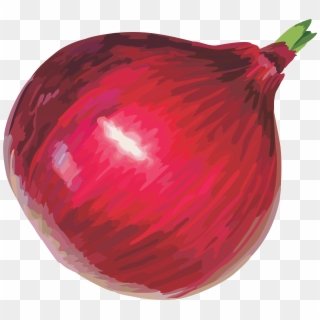 Red Onion Png Image - Onion Png Clipart