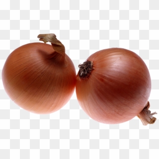 Onion Png Image - Onion Images Download Clipart