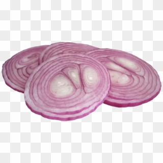 Onion Png - Red Onion Clipart