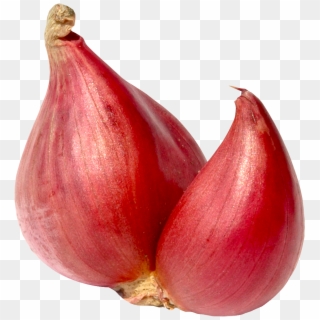 1124 X 1192 - Shallot Onion Png Clipart