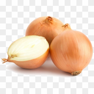 Onion Png High-quality Image - White Onion Transparent Background Clipart