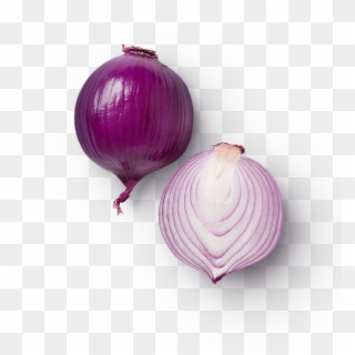 Info@beechersfoundation - Org - Red Onion Clipart