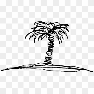 Palm Tree Clipart Black And White - Palm Tree Sketch Vector - Png Download