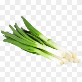 Product Group - Spring Onion Transparent Clipart