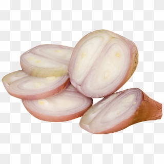 Sliced Onion Png Picture - Shallot Clipart
