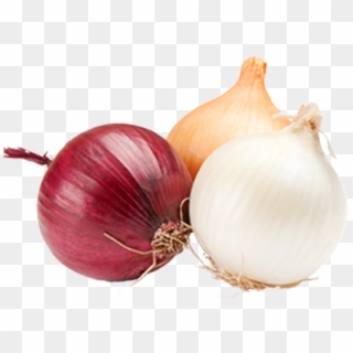Onions - Onions And Garlic Png Clipart