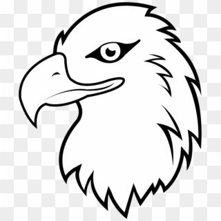 Bald Eagle Clip Art - Eagle Bird Clipart Black And White - Png Download