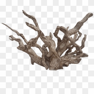Coral - Driftwood Art Png Clipart