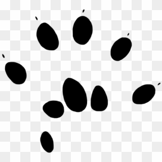 Paw Prints Clipart - Mouse Deer Paw Print - Png Download