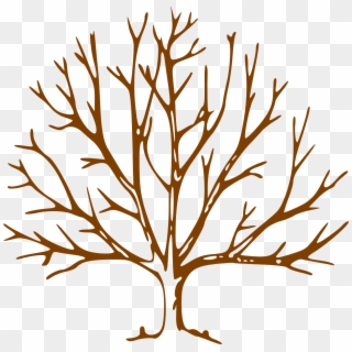Leafless Denuded Nature Branch Free Photo From - Bare Tree Clipart - Png Download