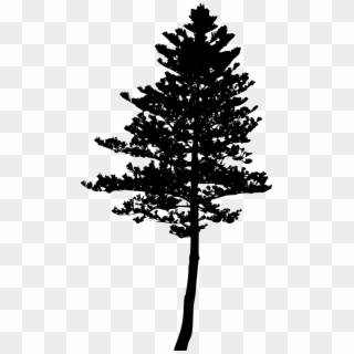 Free Cartoon Trees Png Png Transparent Images - PikPng
