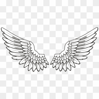 White Wings - Wings Drawing Clipart
