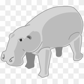 Hippopotamus Clipart - Animated Hippopotamus - Png Download