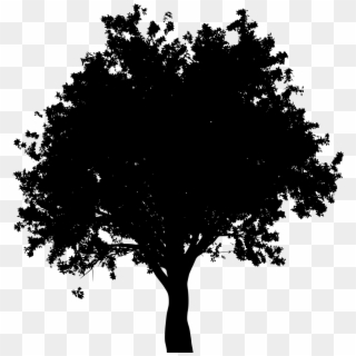 Download Png - Oak Tree Black And White Clipart