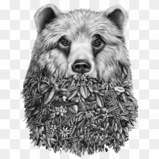 Grizzly Drawing Ink Clipart