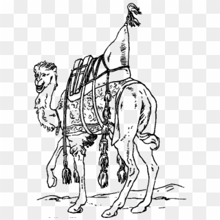 Input Happy-camel Clipart