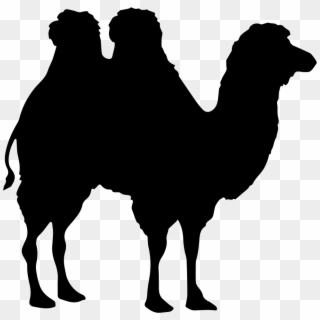 Camel Transparent Svg - Camel Shape Clipart