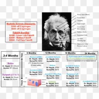 Einstein 2017 10 16 Website - Albert Einstein Clipart