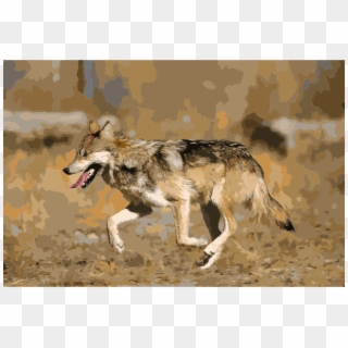 This Free Icons Png Design Of Mexican Wolf 2 Yfb-edit - Mexican Gray Wolf Clipart