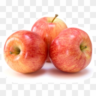 Apples - Gala Apple Clipart