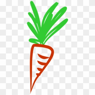 Carrots Health Vegetables Carrot Png Image - Warzywa Grafika Clipart