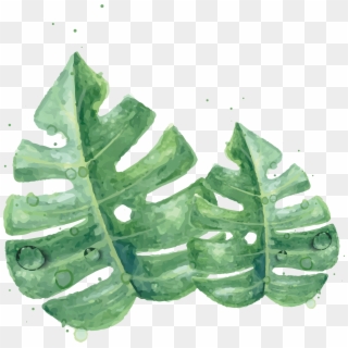 Leaf Leaves Watercolor Green Skin Painting Clipart - Watercolor Green Leaf Png Transparent Png