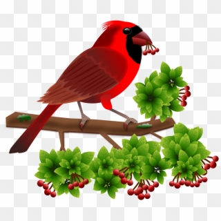Cardinal Birds Animals Berries Png Image - Gambar Bergerak Burung Png Clipart