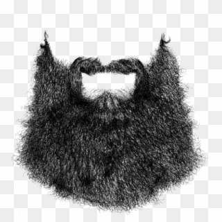 Photoshop Beard Clipart