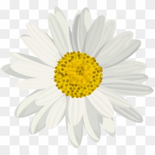 Daisy Png Clip Art Image Transparent Png