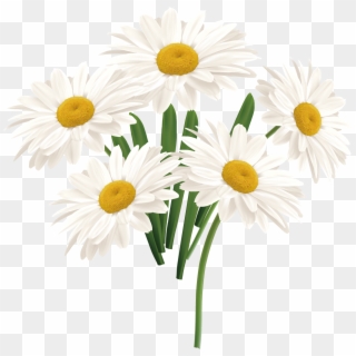 Flower Common Daisy - White Sun Flower Png Clipart