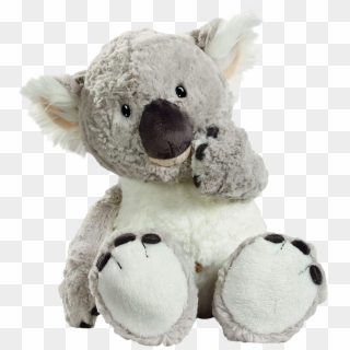 Wild Koala 14” Plush - Peluches De Koala En Lima Clipart