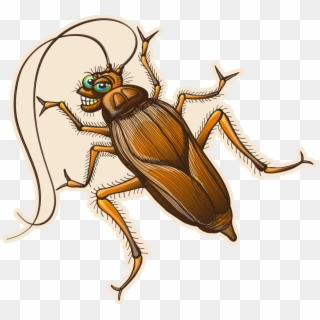 Cockroach Drawing Insect - Sexy Cockroach Clipart