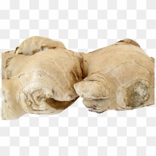 Ginger Root Png Image1 - Artifact Clipart