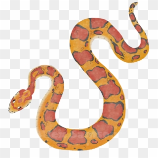 Corn Snake Png - Serpent Clipart
