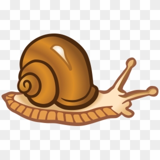 Snail Image - Clipart Picture Of Snail - Png Download