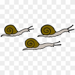 Movement Snails Moving Free Vector Graphic On - Snails Clipart - Png Download
