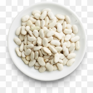 Cannellini Beans - Pebble Clipart