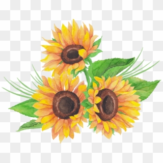 Sunflowers Png Dead - Sunflower Clipart