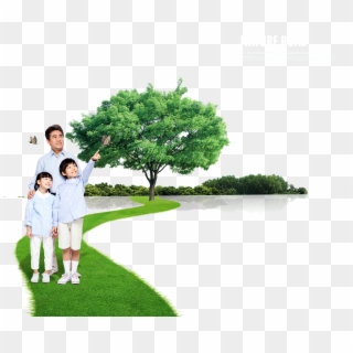 Lawn Vector Tree Grass - Nature Family Free Psd Clipart