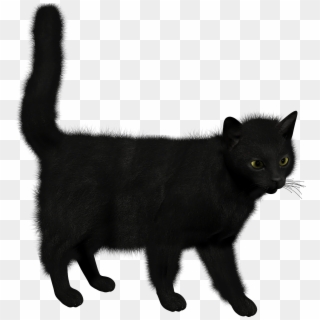 Черная Кошка На Прозрачном Фоне Clipart