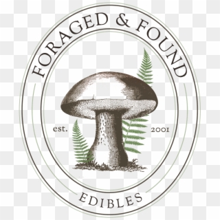Dried Mushrooms Foraged Found Edibles - Edible Mushroom Drawing Clipart