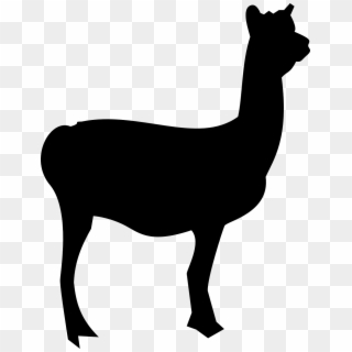 Llama Mammal Animal Silhouette Png Image - Llama Outline Png Clipart