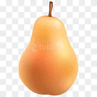Free Png Pear Png - Asian Pear Clipart
