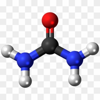 Chemistry Atom Cliparts - Urea Molecule - Png Download