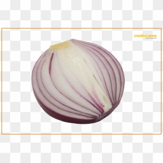 Red Onion Sliced Transparent - Red Onion Clipart
