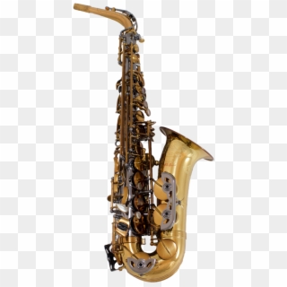 Buy Tgs Origin Series Professional Alto Saxophone At - Saxophone Clipart
