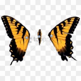 Free Png Brand New Eyes Png Image With Transparent - Paramore The Only Exception Album Clipart