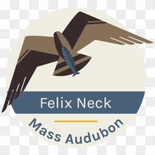 Felix Neck Wildlife Sanctuary Fern & Feather Day Camp - Graphic Design Clipart