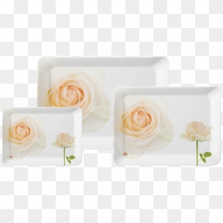 3 Pc Stylo Tray Set - Garden Roses Clipart
